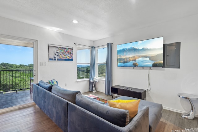 living room with electric panel, hardwood / wood-style flooring, and a textured ceiling