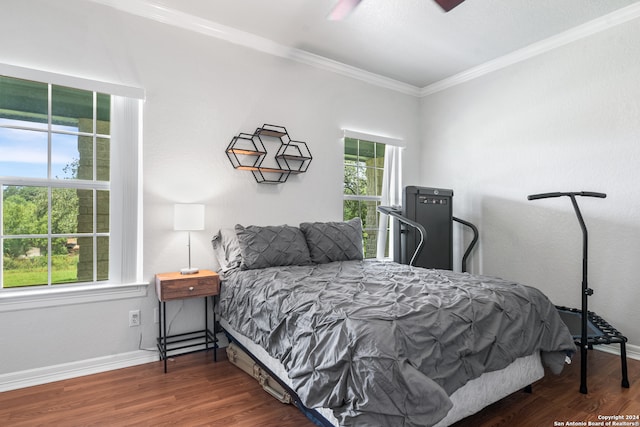 bedroom featuring ceiling fan, dark hardwood / wood-style floors, and multiple windows