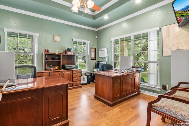 office space with light hardwood / wood-style flooring, crown molding, and a healthy amount of sunlight