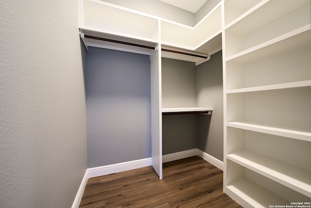 spacious closet with dark hardwood / wood-style floors