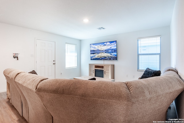 living room with light wood-type flooring and a wealth of natural light