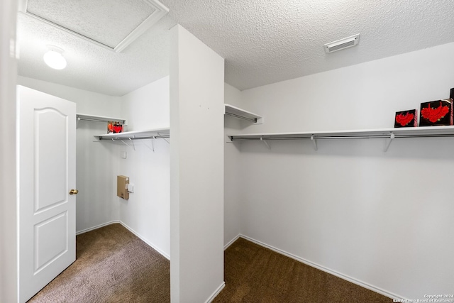 walk in closet featuring carpet floors, attic access, and visible vents