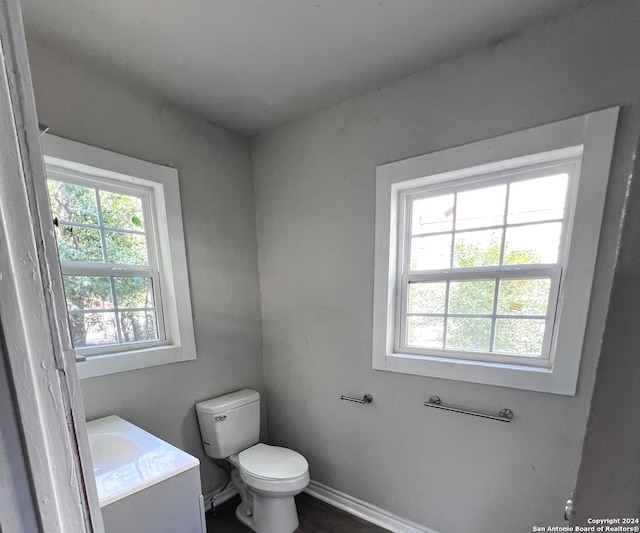 bathroom with vanity, a wealth of natural light, and toilet