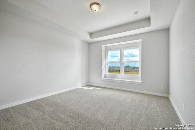 spare room featuring carpet and a tray ceiling