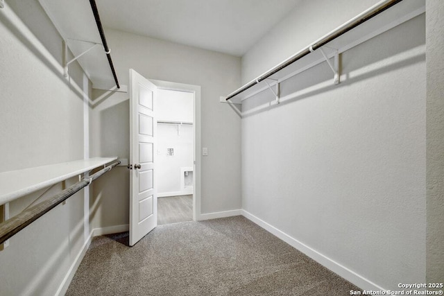 spacious closet featuring carpet floors