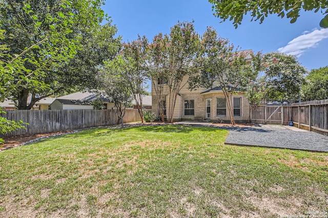 view of yard featuring a patio area