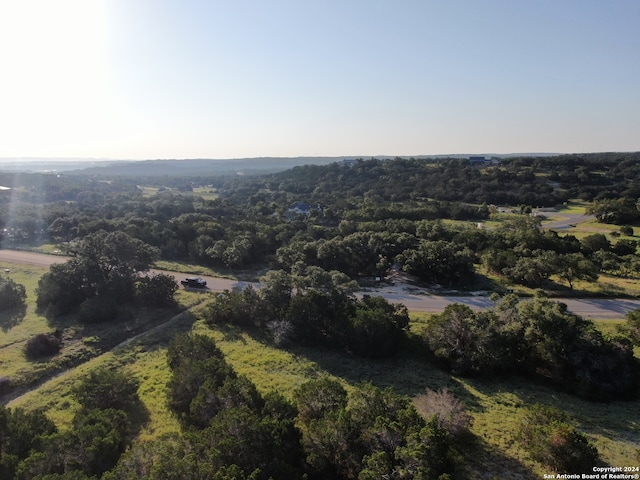 Listing photo 3 for 1721 Paradise Pkwy, Canyon Lake TX 78133