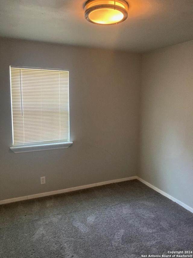 unfurnished room with carpet floors