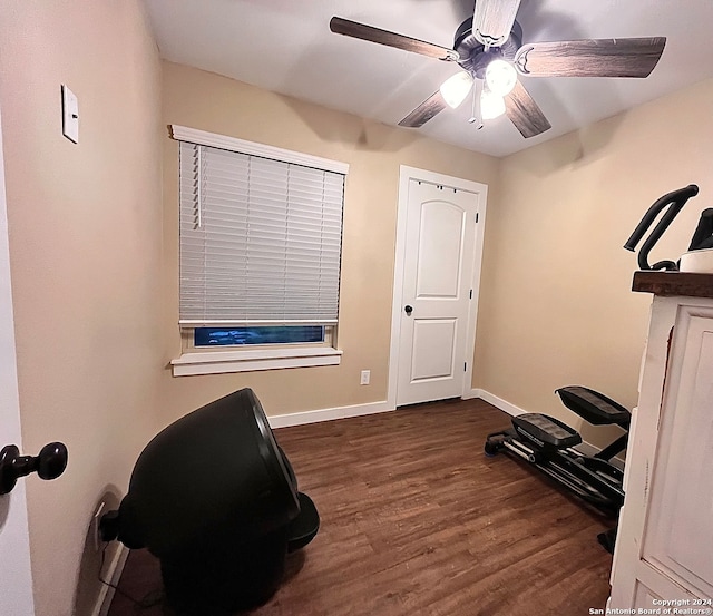 exercise room featuring ceiling fan and dark hardwood / wood-style floors