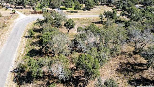 112 County Road 6862, Natalia TX, 78059 land for sale