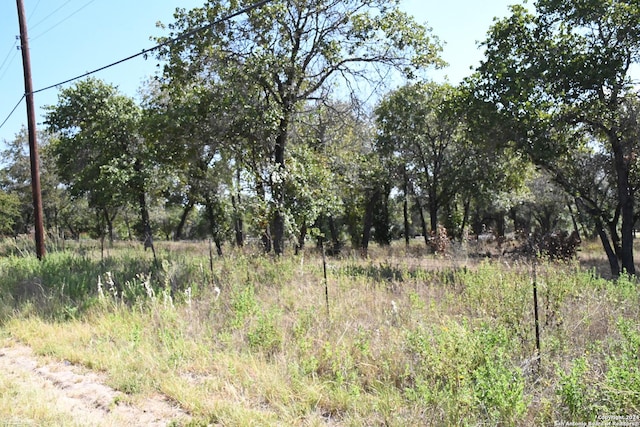 Listing photo 2 for 112 County Road 6862, Natalia TX 78059