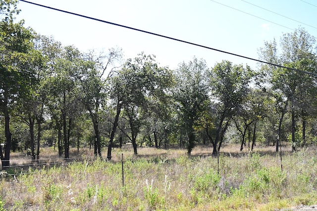 Listing photo 3 for 112 County Road 6862, Natalia TX 78059