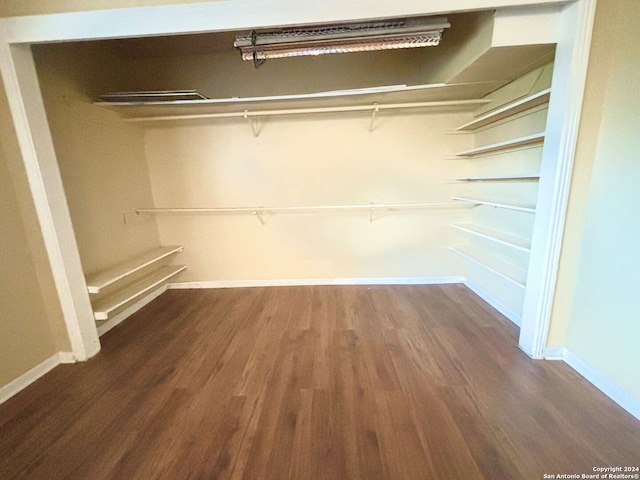 walk in closet featuring dark hardwood / wood-style flooring