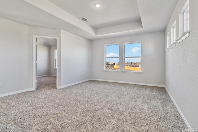 spare room featuring carpet floors and a raised ceiling