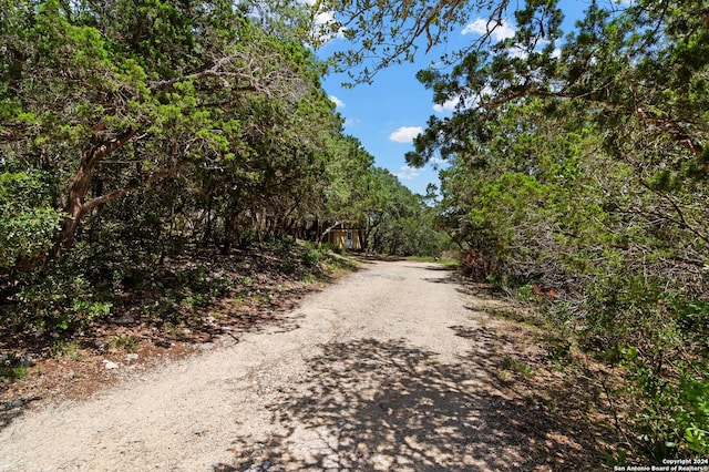 202 Cedar Hill Rd, Pipe Creek, TX 78063 - view of road featuring a view of trees