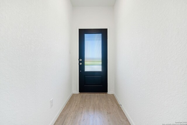 entryway with light wood-type flooring