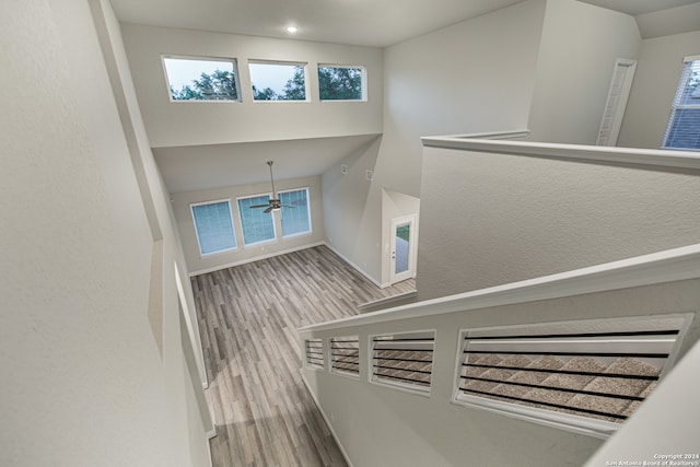 stairs with ceiling fan, hardwood / wood-style flooring, and plenty of natural light