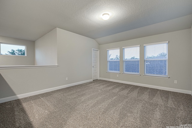 unfurnished room with lofted ceiling, carpet flooring, and a textured ceiling