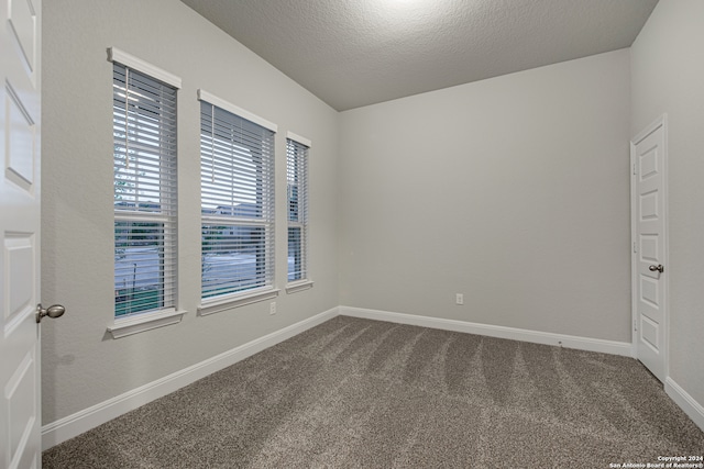 spare room featuring a textured ceiling and carpet flooring