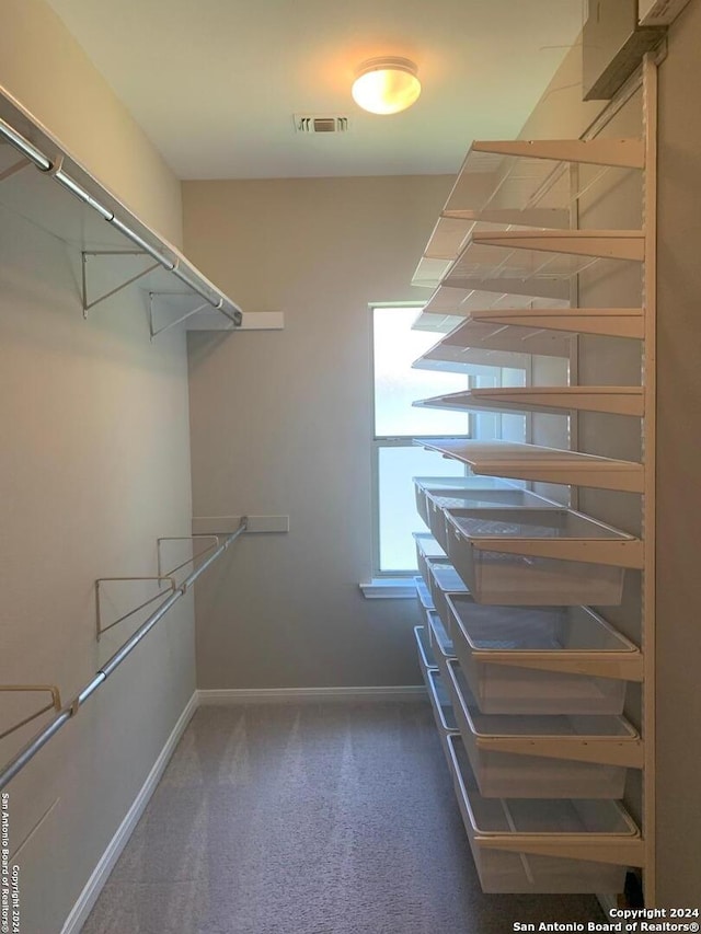 spacious closet with carpet flooring and visible vents