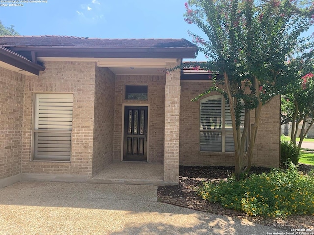 entrance to property featuring brick siding