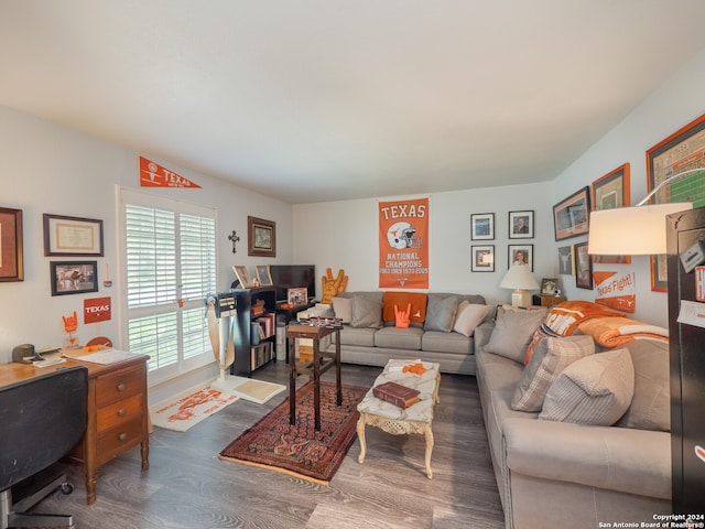 living room with dark hardwood / wood-style flooring