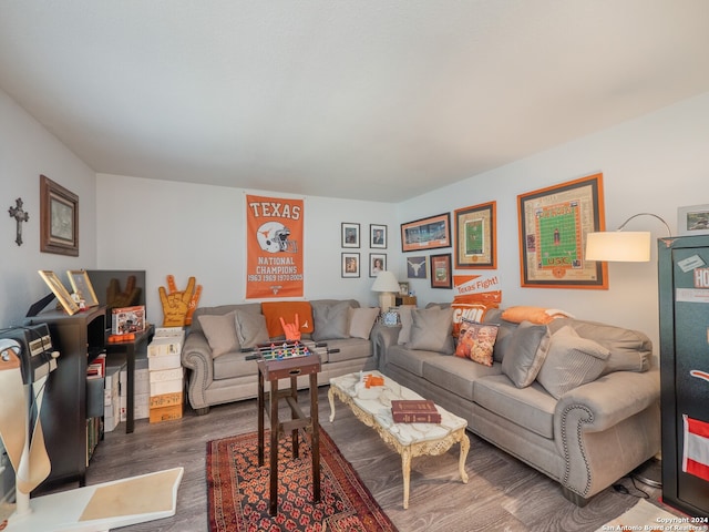 living room featuring dark hardwood / wood-style flooring