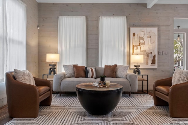 215 Beauregard, San Antonio, TX 78204 - living room with wood walls