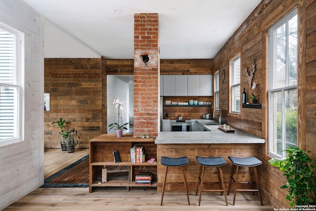 kitchen featuring wood walls and plenty of natural light