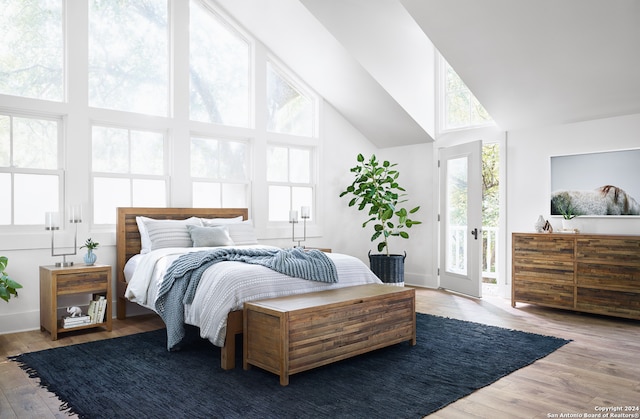 bedroom featuring light hardwood / wood-style flooring, multiple windows, and access to exterior