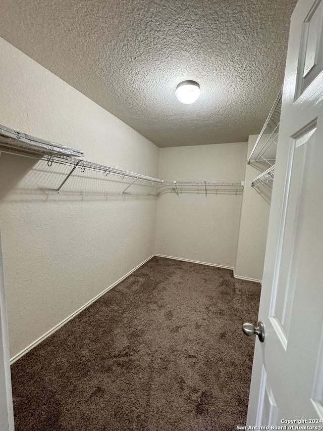 walk in closet with carpet