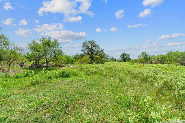 Listing photo 3 for LOT7 County Road 402, Flatonia TX 78632