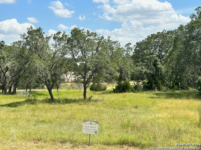 685 Annabelle Ave, Bulverde TX, 78163 land for sale