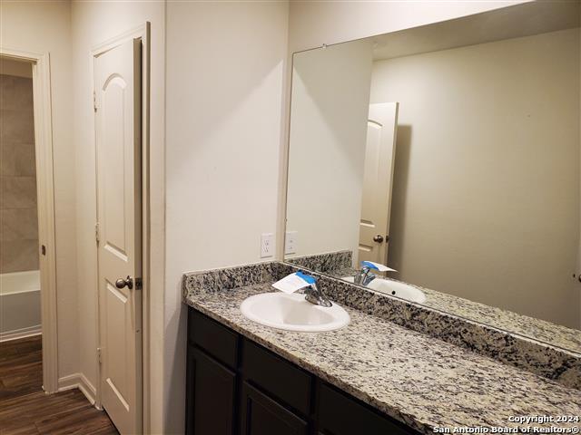 bathroom with hardwood / wood-style flooring and vanity