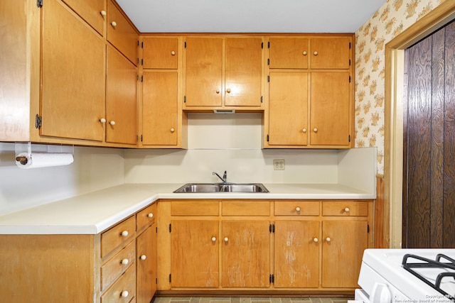 kitchen with stove and sink