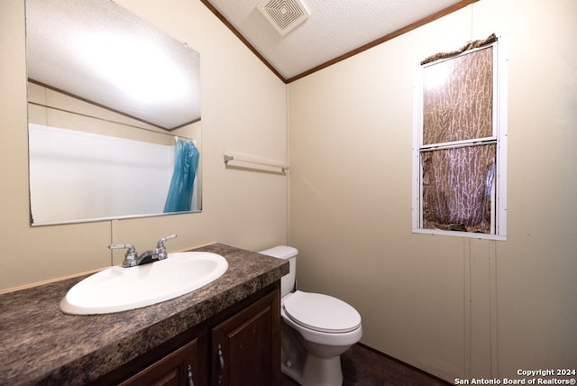 bathroom with a textured ceiling, toilet, vanity, and vaulted ceiling