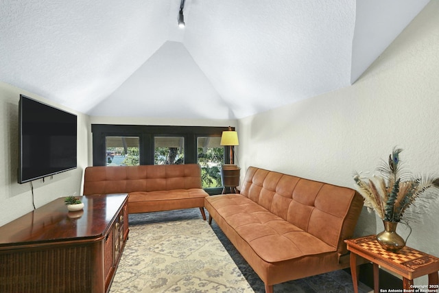 223 E Craig Pl, San Antonio, TX 78212 - living area featuring lofted ceiling, a textured ceiling, and track lighting