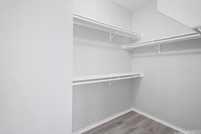 spacious closet featuring hardwood / wood-style flooring