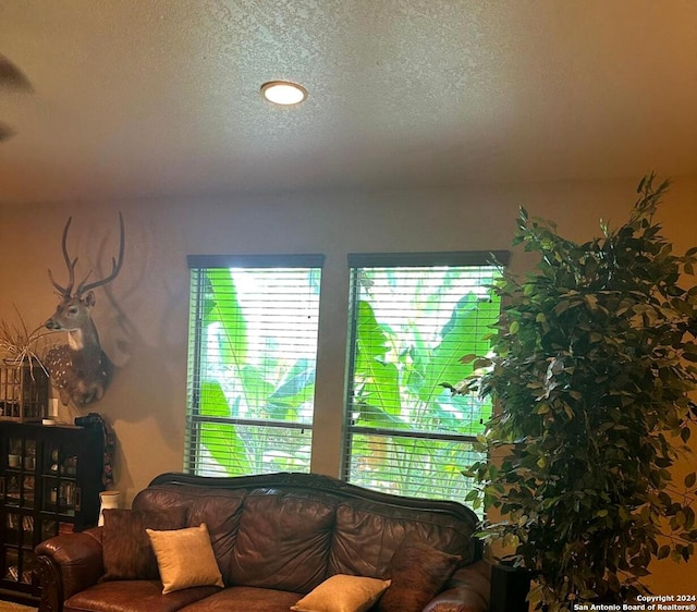 living area featuring a textured ceiling