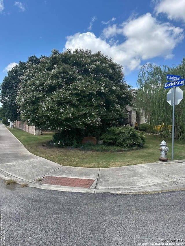 obstructed view of property with fence and a front yard