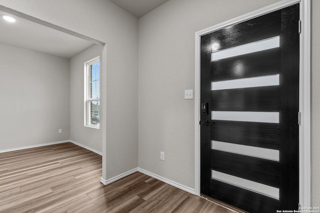 entrance foyer with wood-type flooring