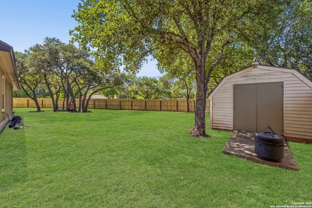 view of yard with a shed