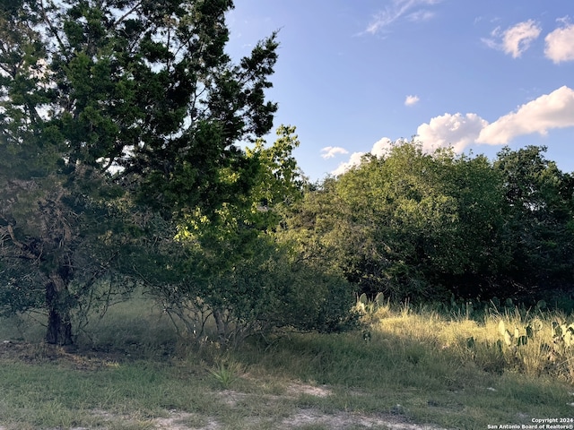 LOT10 Rocky Point Dr, Spring Branch TX, 78070 land for sale