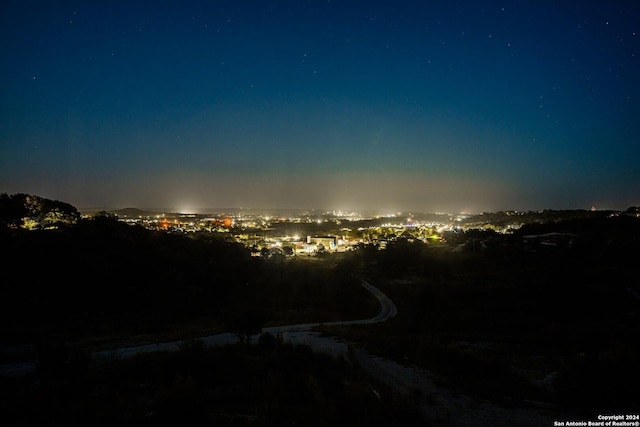 view of nature at night