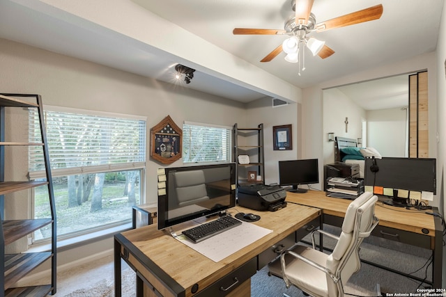 office area featuring ceiling fan and carpet floors