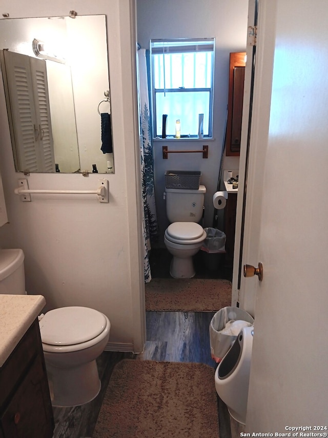 bathroom with toilet, vanity, and hardwood / wood-style flooring