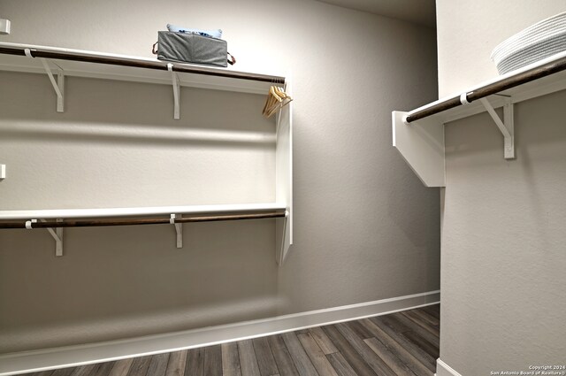 spacious closet with wood-type flooring