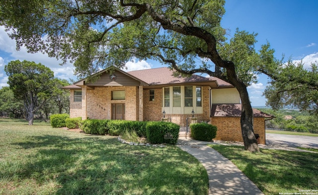 ranch-style home featuring a front lawn and brick siding