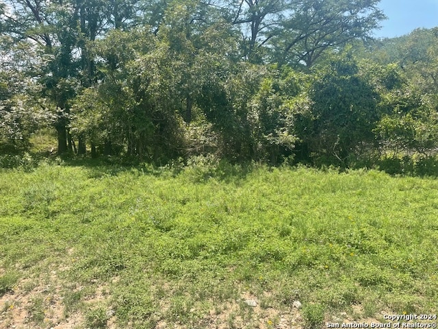 Listing photo 2 for TBD River Bend Rd, Bandera TX 78003