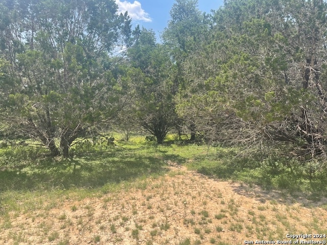 Listing photo 3 for TBD River Bend Rd, Bandera TX 78003